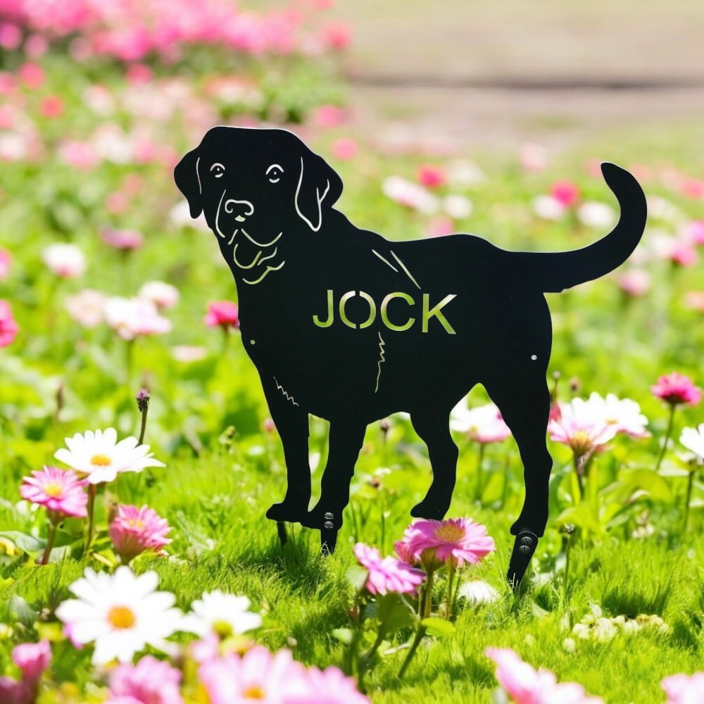 labrador garden take